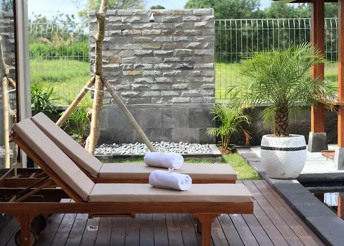 Villa Private Pool - Saia Ubud