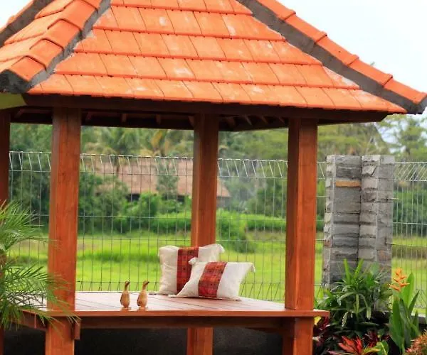 Private Pool - Saia Villa Ubud