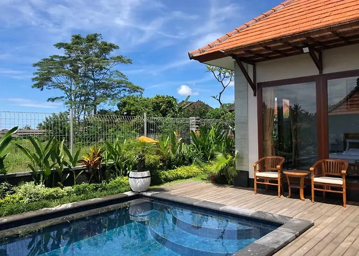 Private Pool - Saia Villa Ubud